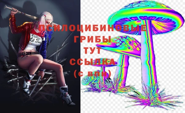 бутират Арсеньев