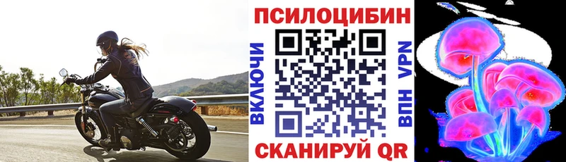 Псилоцибиновые грибы Cubensis  кракен ссылки  Спас-Клепики  как найти закладки 